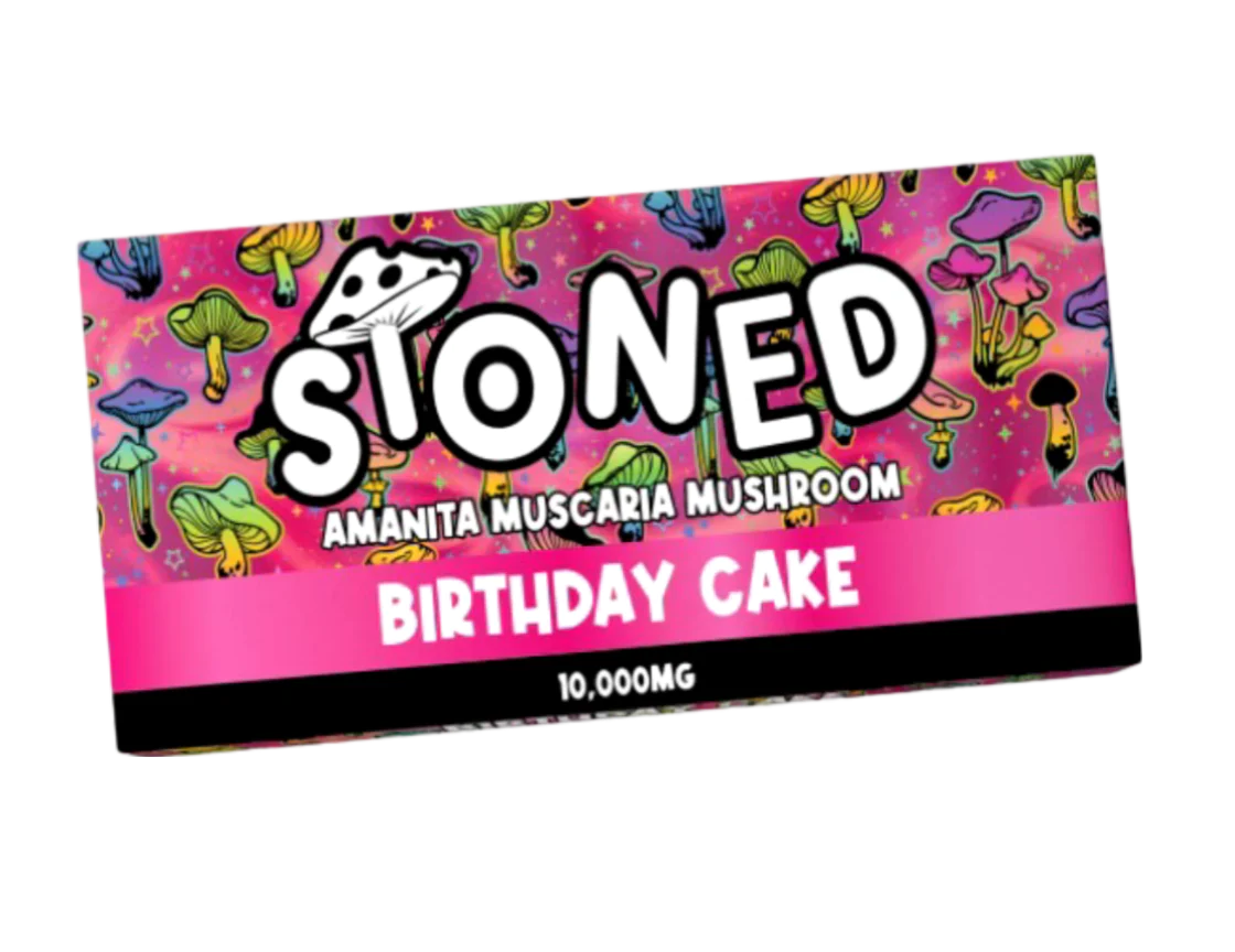 AMANITA MUSCARIA MUSHROOM CHOCOLATE - BIRTHDAY CAKE